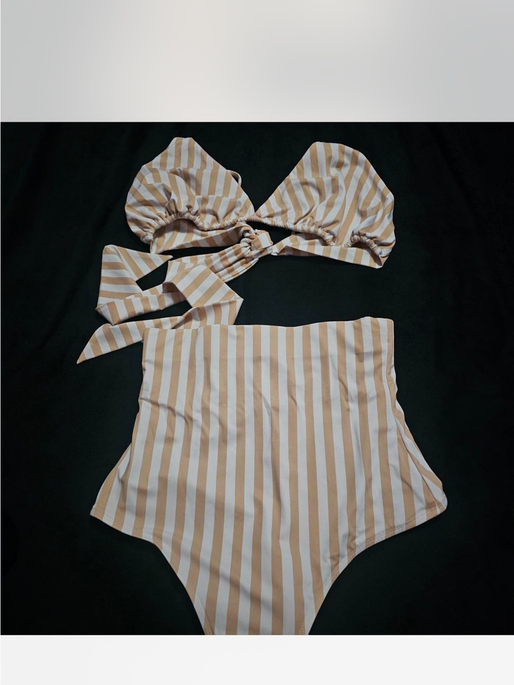 Alpine Butterfly Two Piece